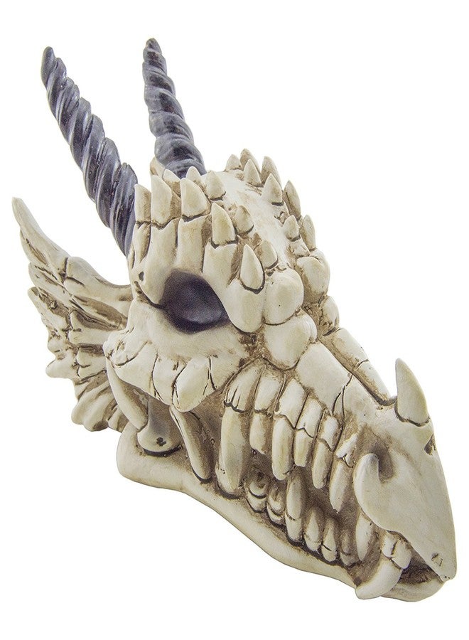 EX ELECTRONIX EXPRESS Snarling Magical Dragon Skull Treasure Trinket Box - Image 1